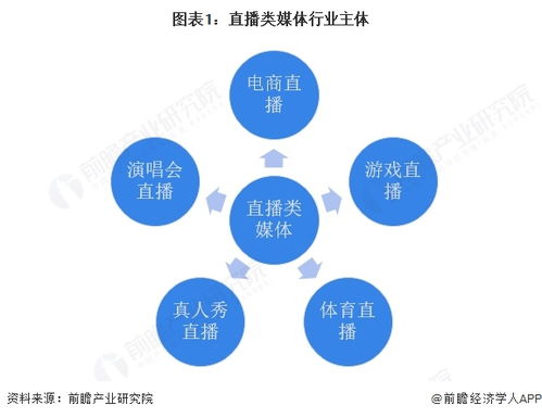 2025年中國(guó)傳媒行業(yè)細(xì)分市場(chǎng)分析 技術(shù)賦能與垂類(lèi)深耕驅(qū)動(dòng)下的網(wǎng)絡(luò)技術(shù)開(kāi)發(fā)生態(tài)